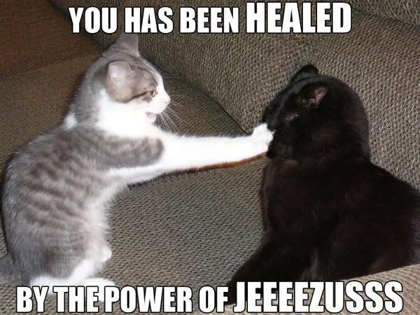 Jebuscat.jpg