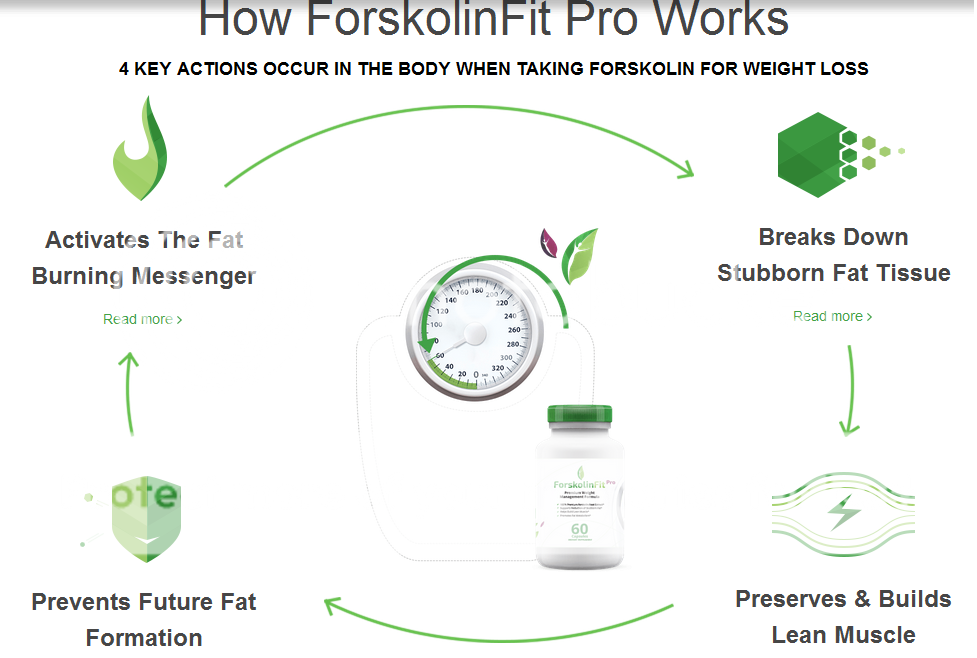 forskolinfit pro how it works