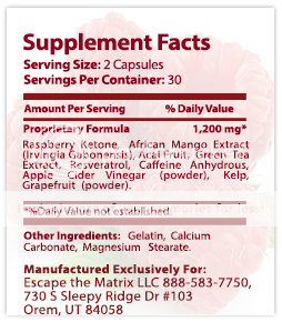 raspberry ketone pro ingredients