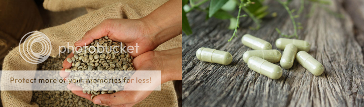 green coffee bean extract and supplements