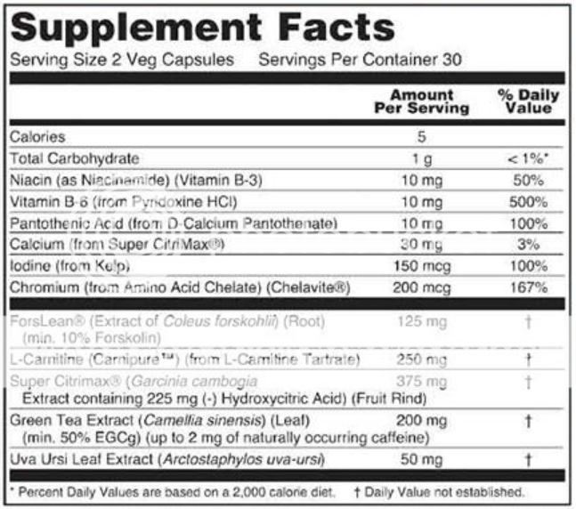 natural fat metabolizer ingredients