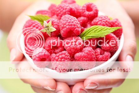 is raspberry ketone safe