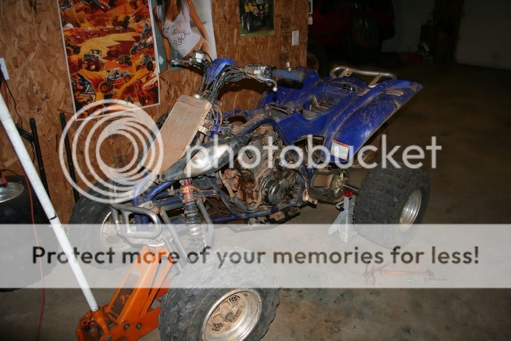 my rappy project | Raptor Forum