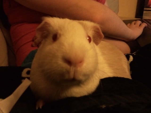 2012-02-27201426.jpg