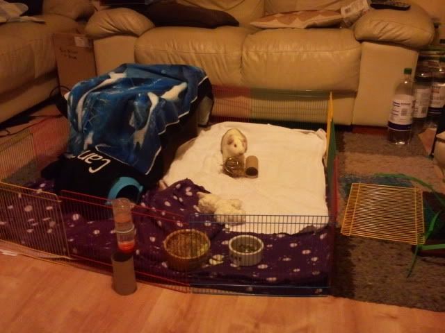 2012-03-04223037.jpg
