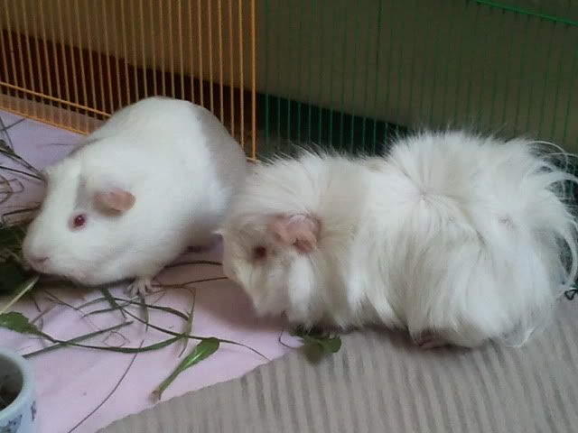2012-03-11151314.jpg