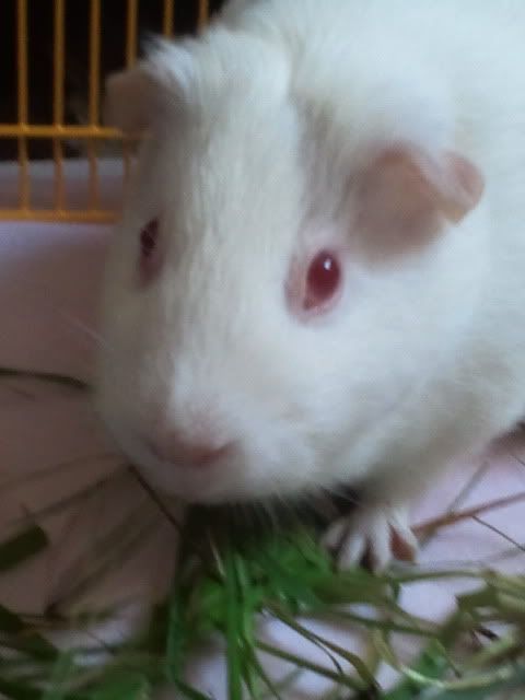 2012-03-11151407.jpg